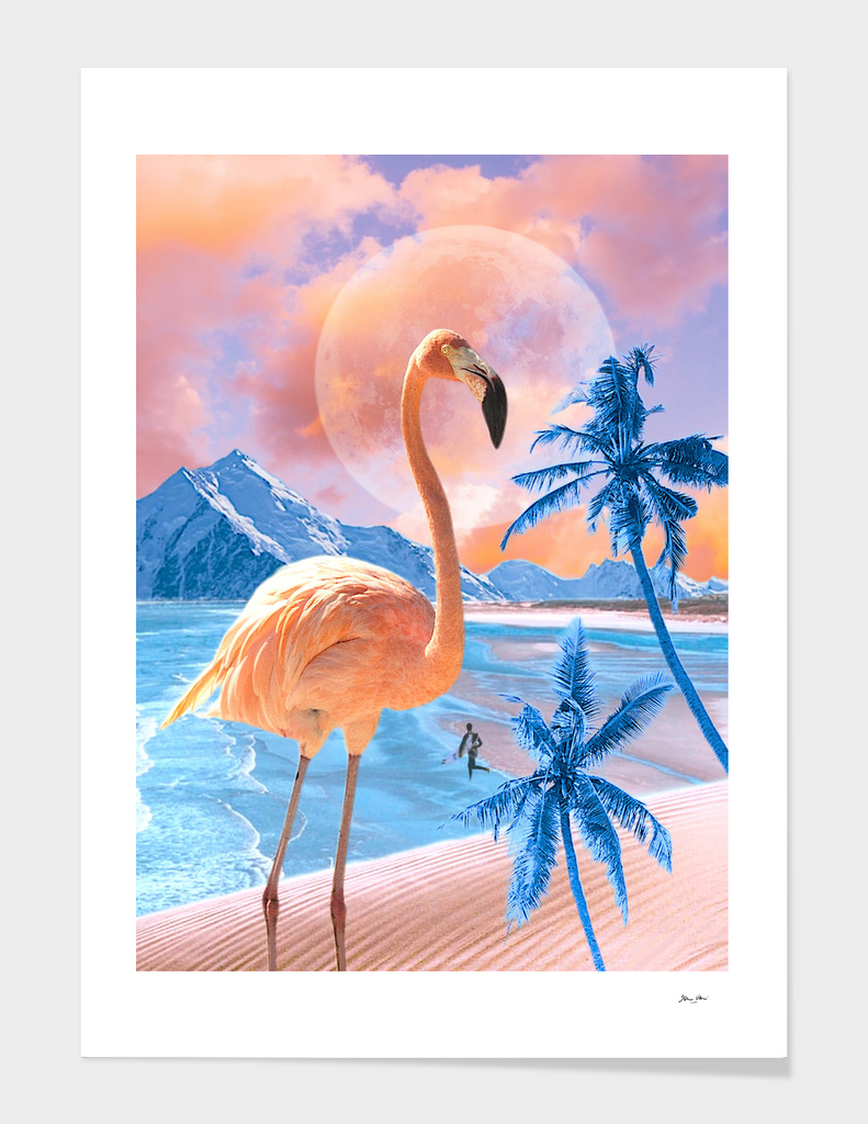 Flamingo Word #digitalmagic #flamingolove