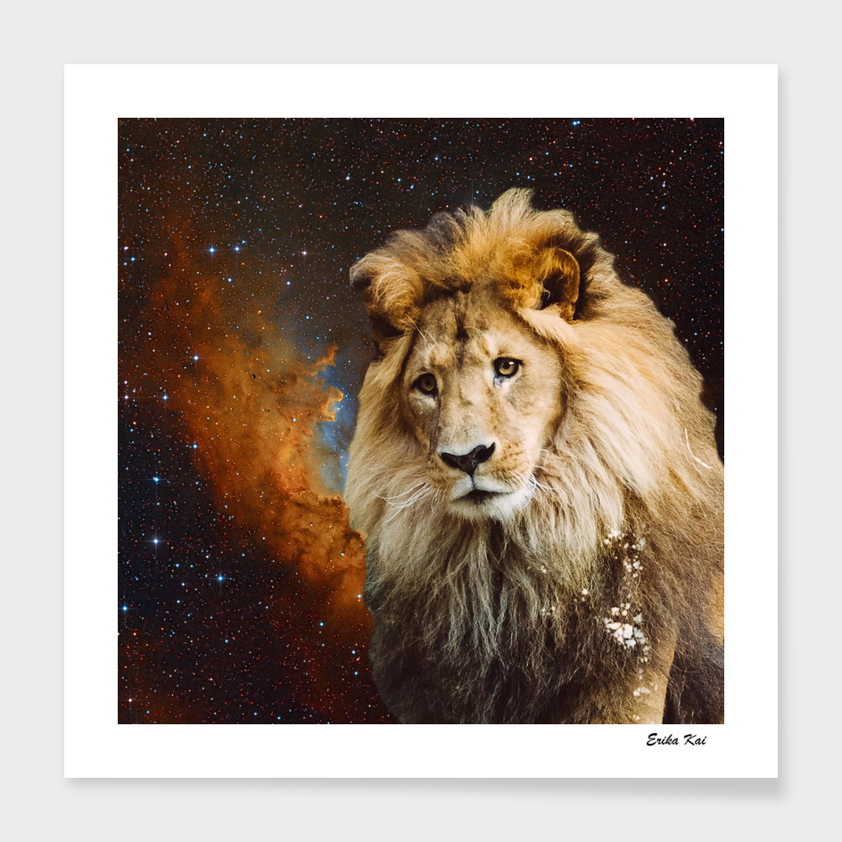 Lion and Galaxy