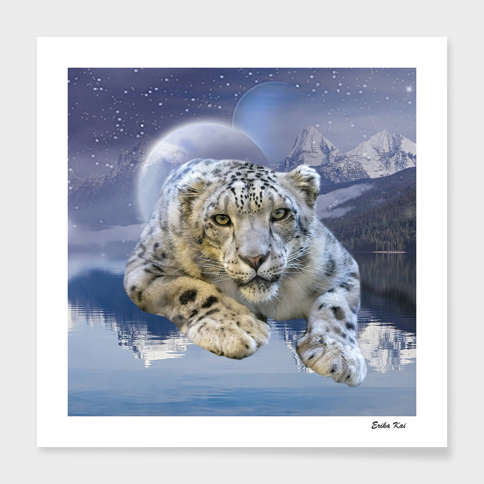 Snow Leopard and Moon