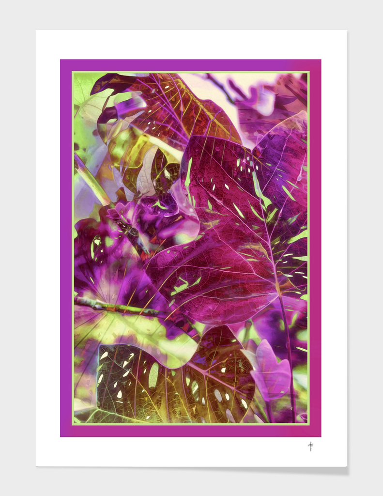 Liriodendron Leaves -Purple