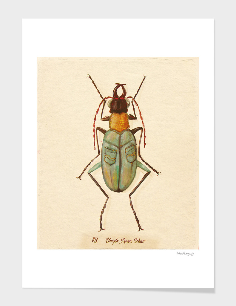 Bug £4