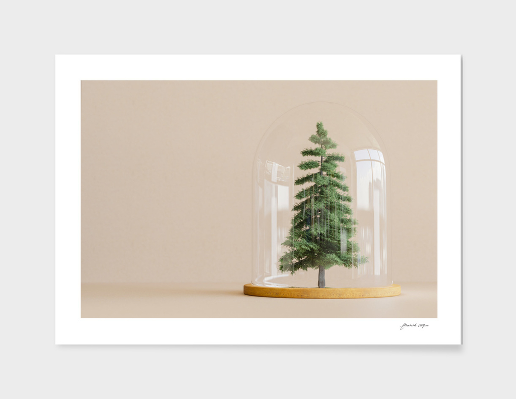 Tree under glass dome