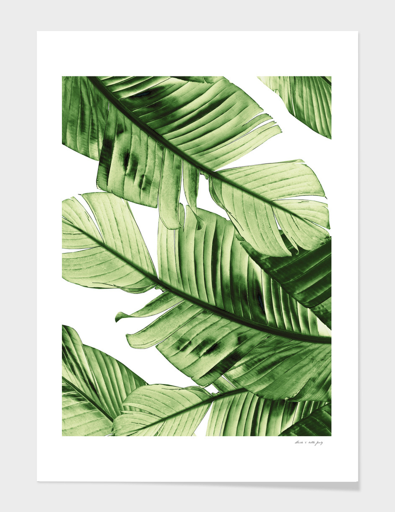 Tropical Green Banana Leaves Dream #1 #decor #art