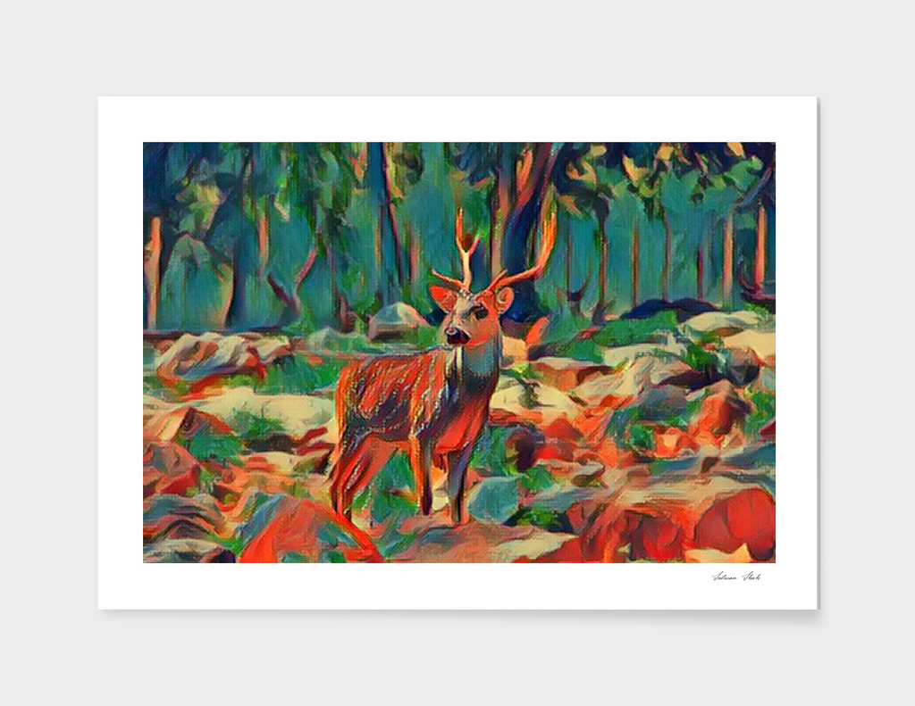 DEER IN THE FOREST