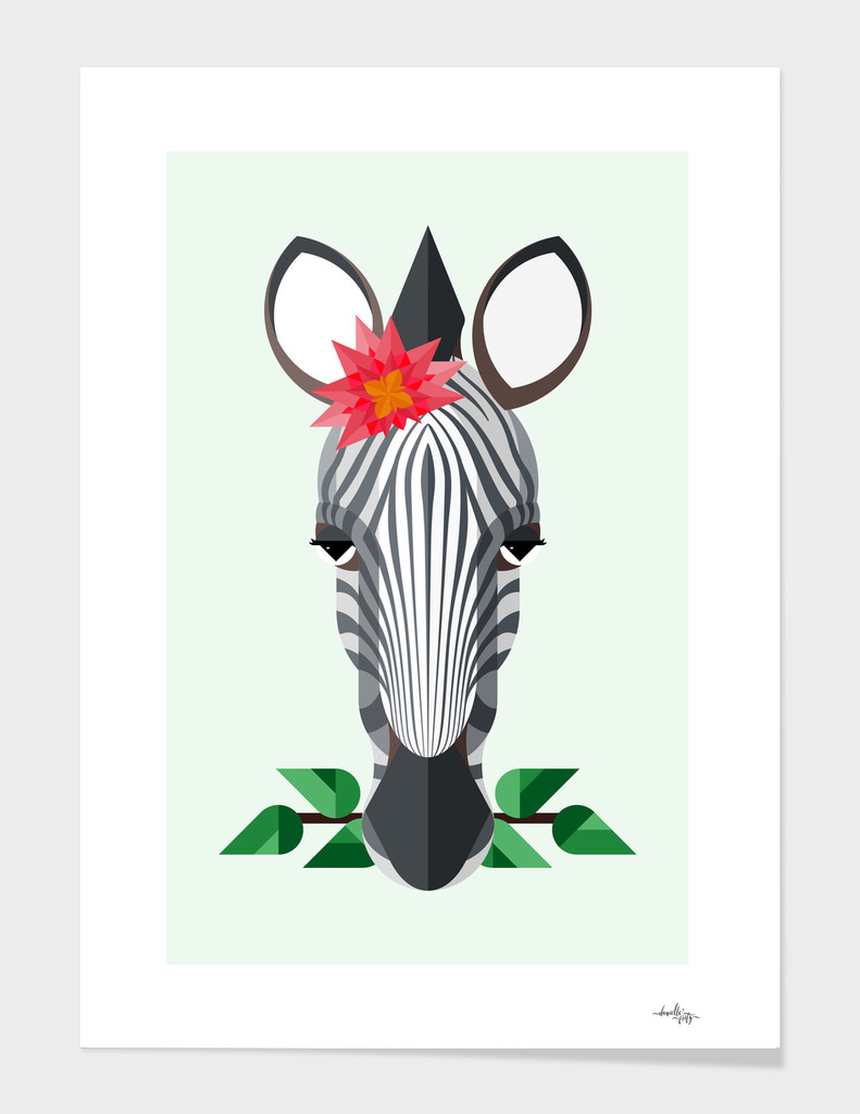 Zebra Illustration