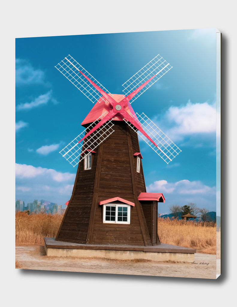 brown and pink windmill