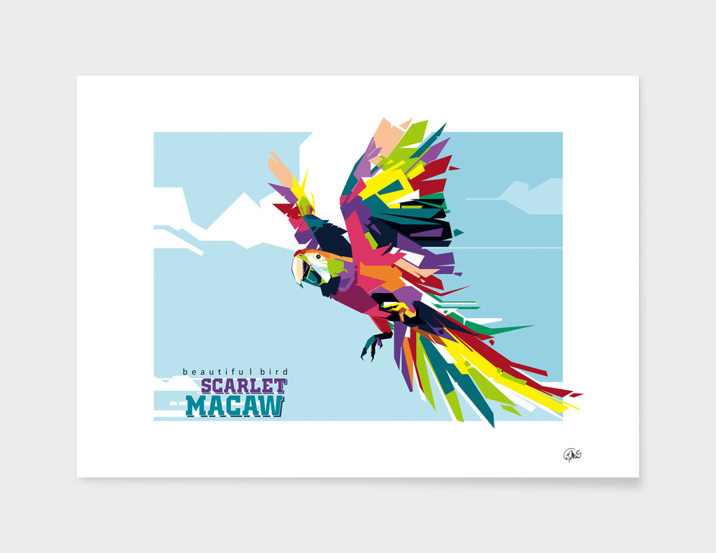 Scarlet Macaw (Beautiful Bird)
