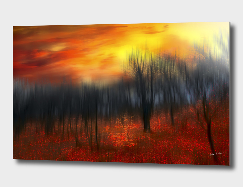 sunset in autumn forest