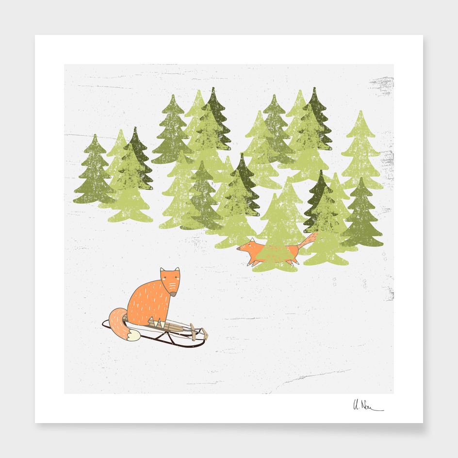 Winterfun- Sledging foxes in winter forest