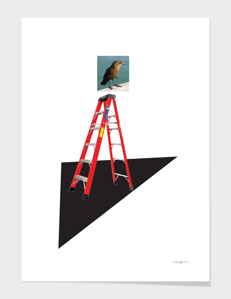 Bird on a Ladder