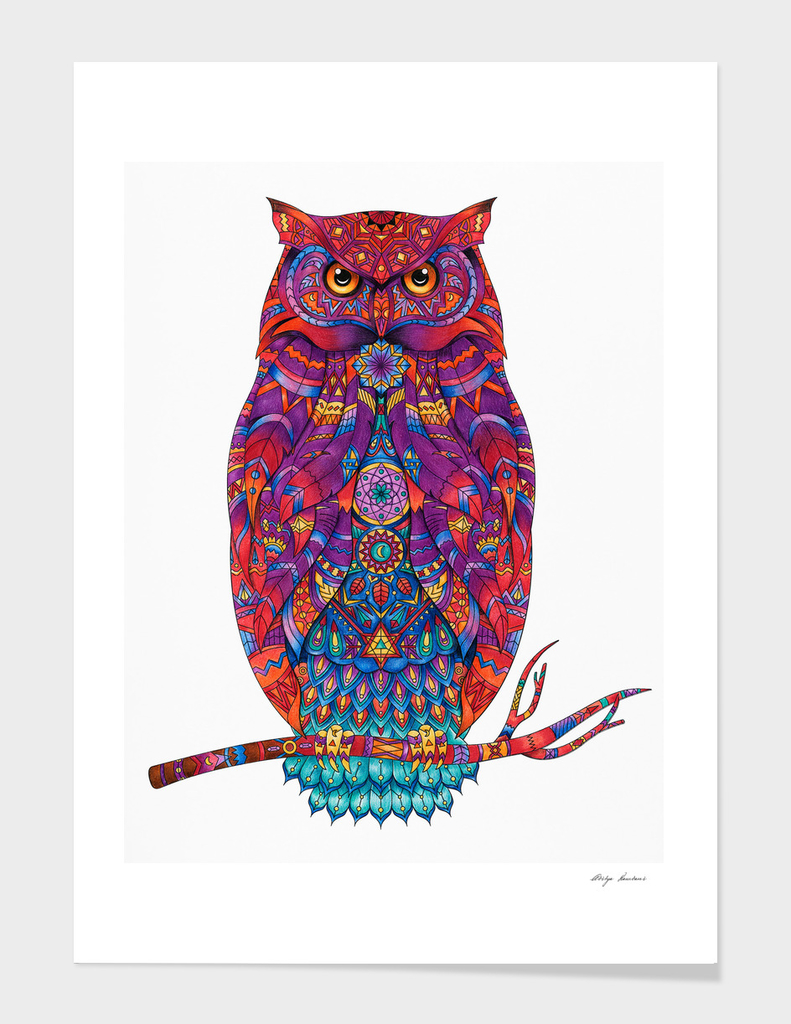 Illustration owl