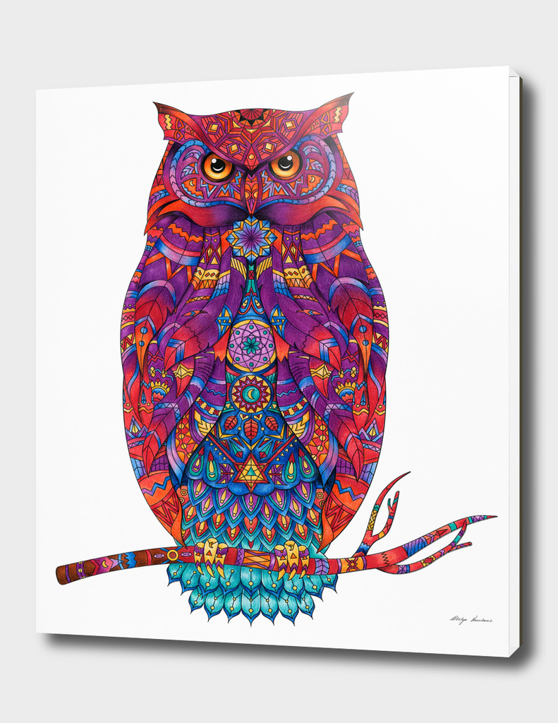 Illustration owl