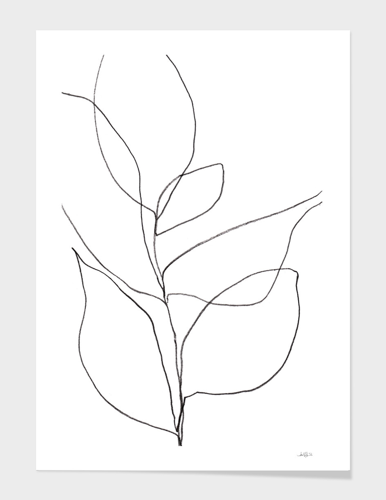 Minimalist Line Art Plant Drawing