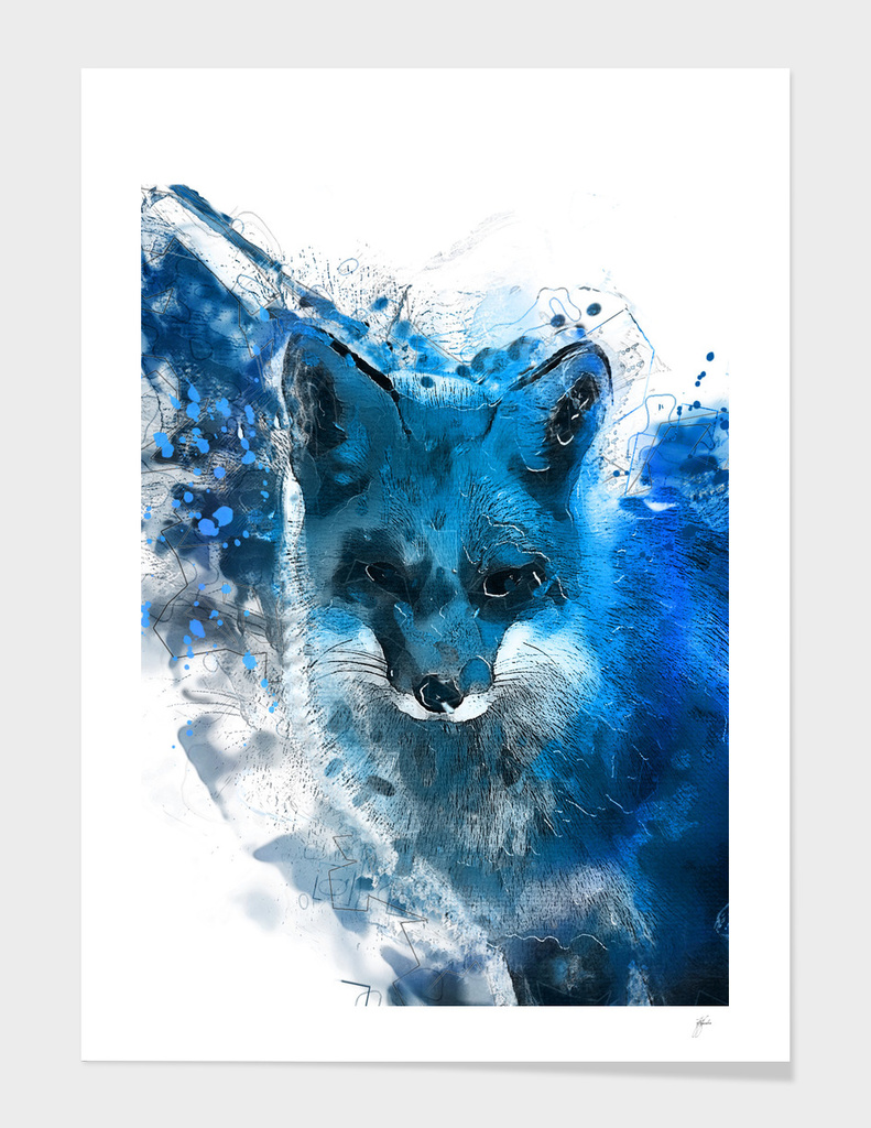 Blue fox