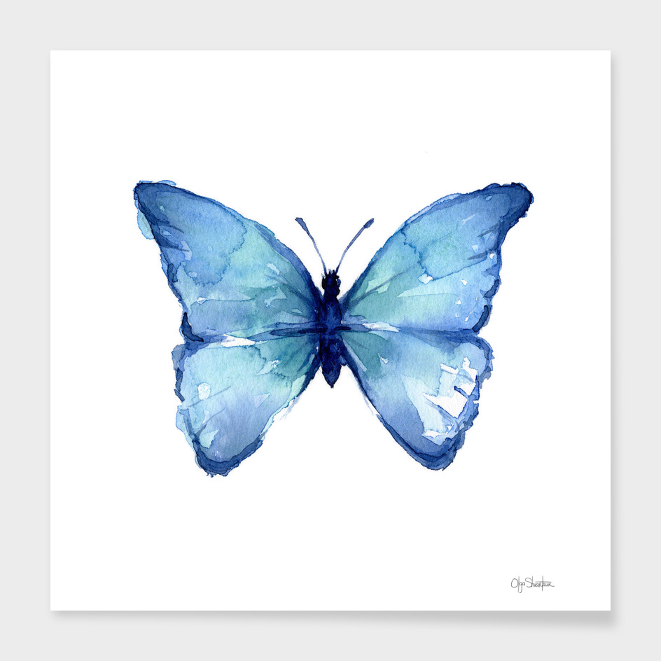 Blue Butterfly Watercolor Painting