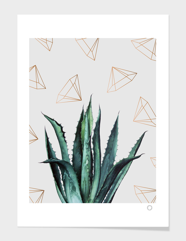 Agave Geometry