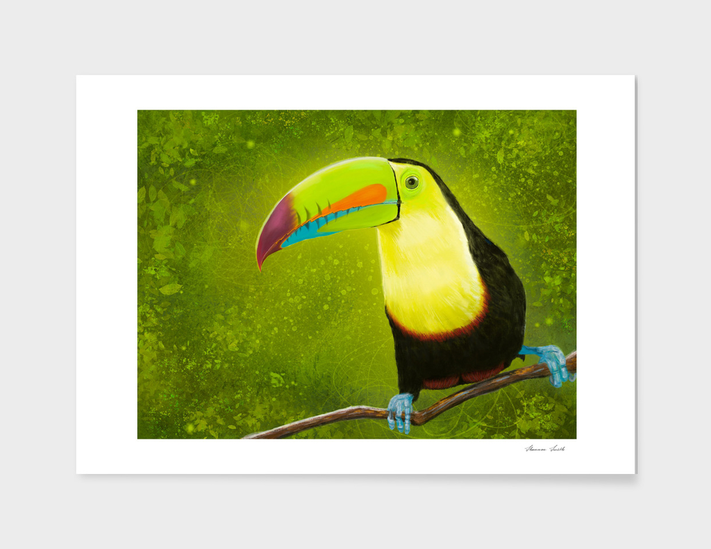 Tropical Jungle Toucan Bird