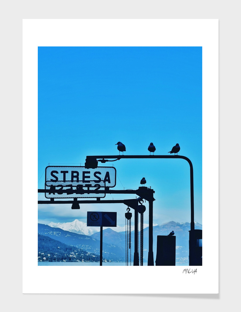 Birds from Stresa (Italy)