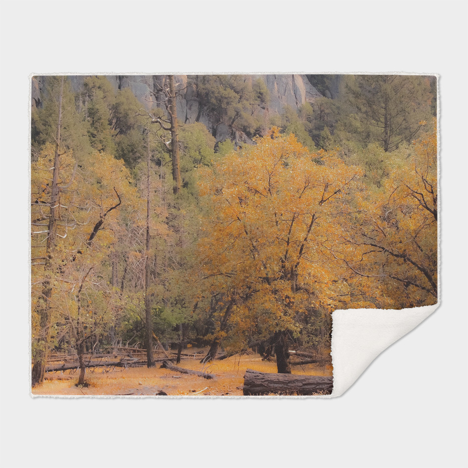 autumn tree garden at Yosemite national park California