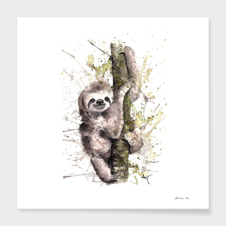 Sloth - Wildlife Collection