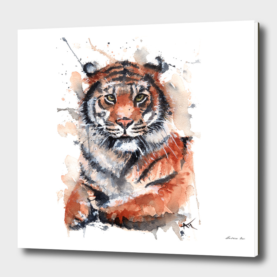 Tiger - Wildlife Collection