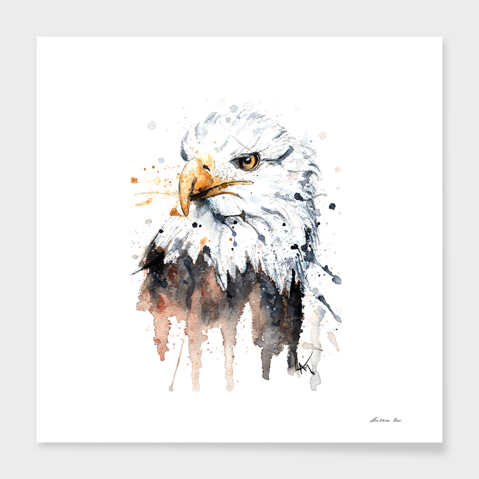 Bald Eagle -Wildlife Collection