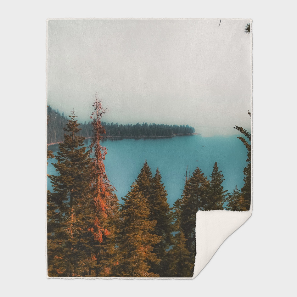pine tree and lake scenic at Emerald Bay Lake Tahoe