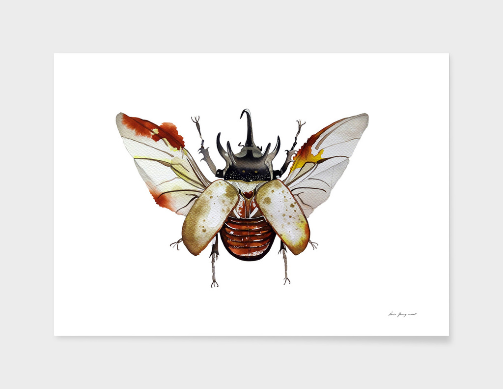 Gold beetle