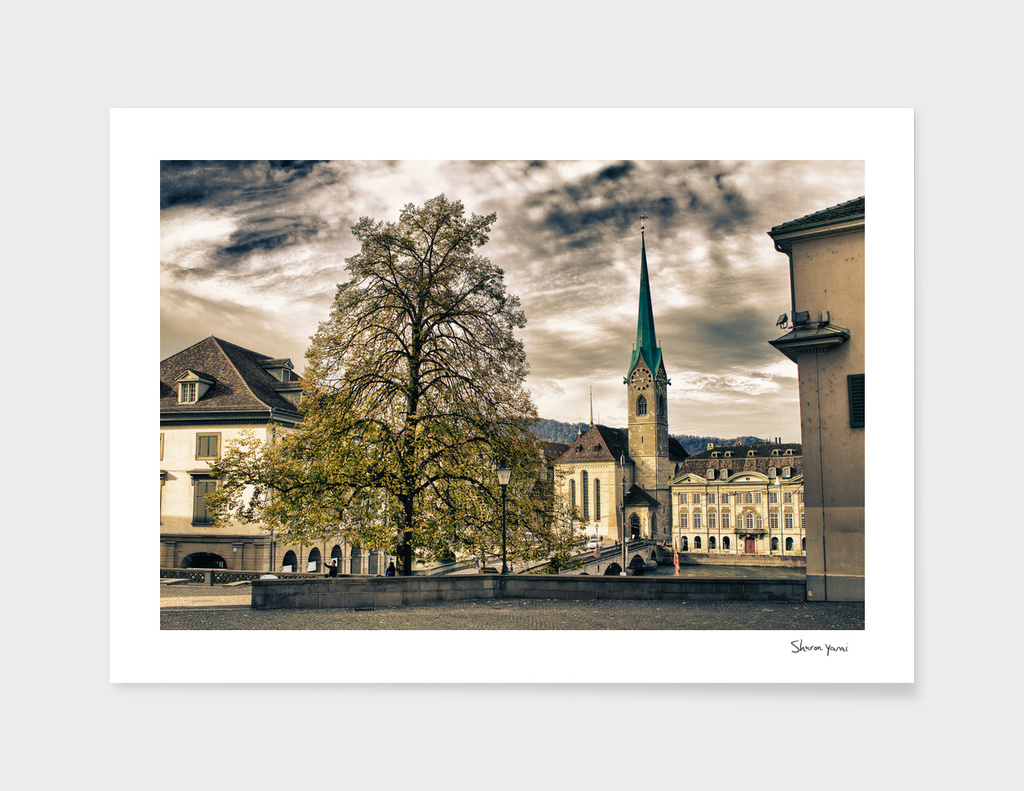Zurich switzerland old town scenery with tree and clocktower