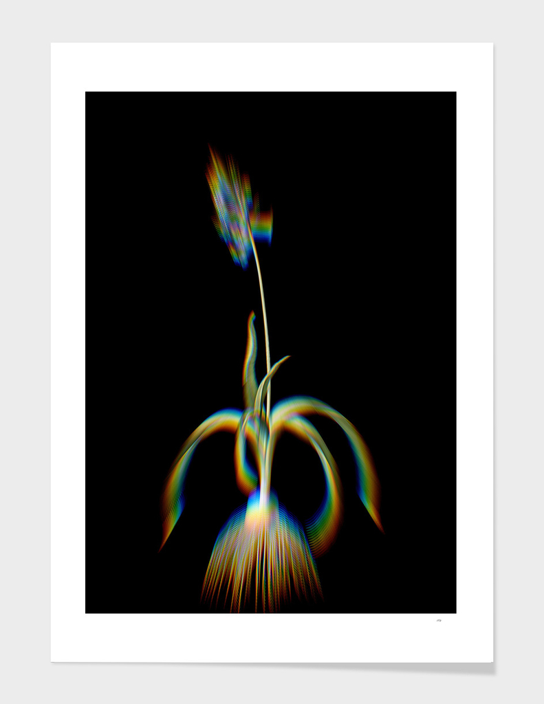 Prism Shift Common Bluebell Botanical Illustration