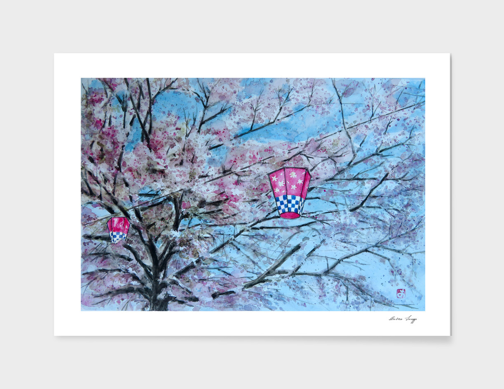 Sakura - Japan - Springfestival