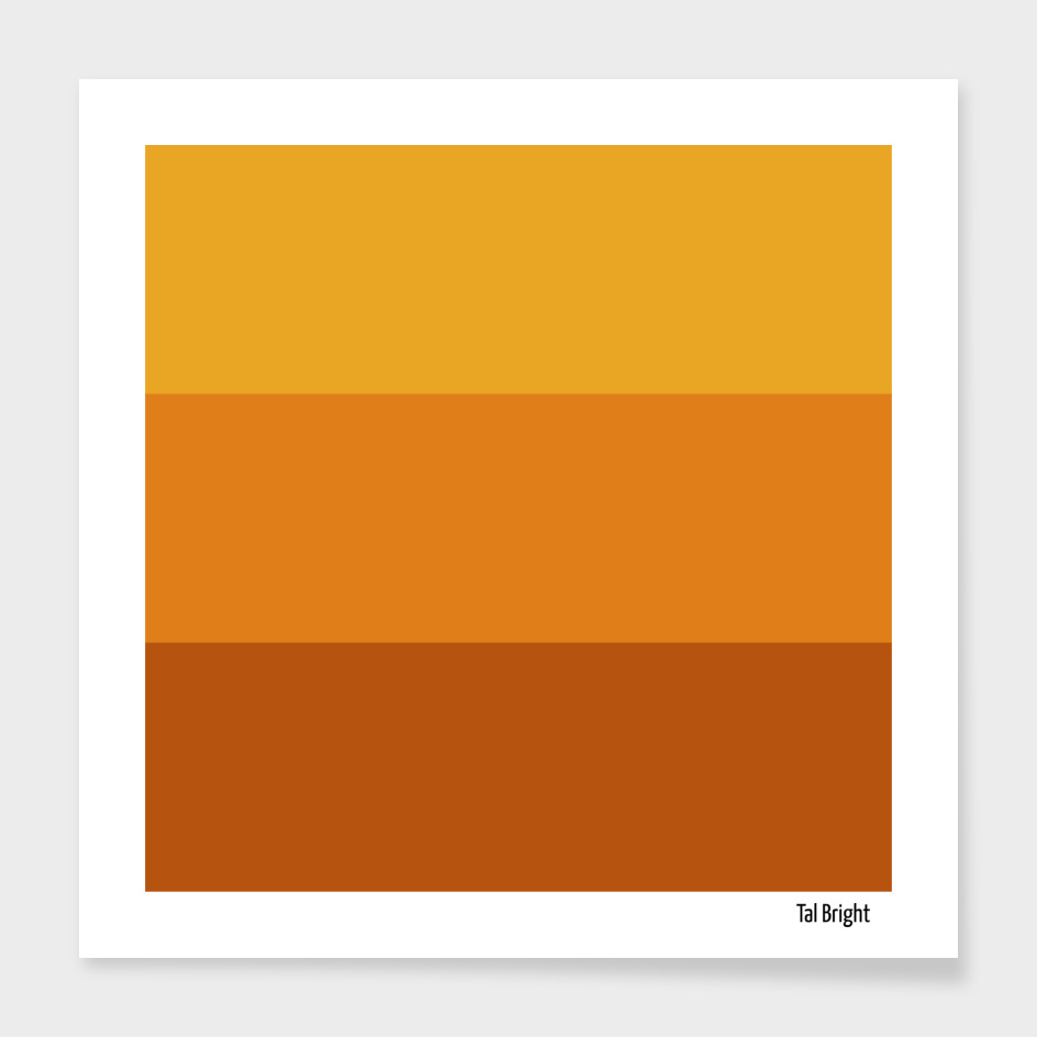 70s Color Palette - orange brown retro 3 color scheme