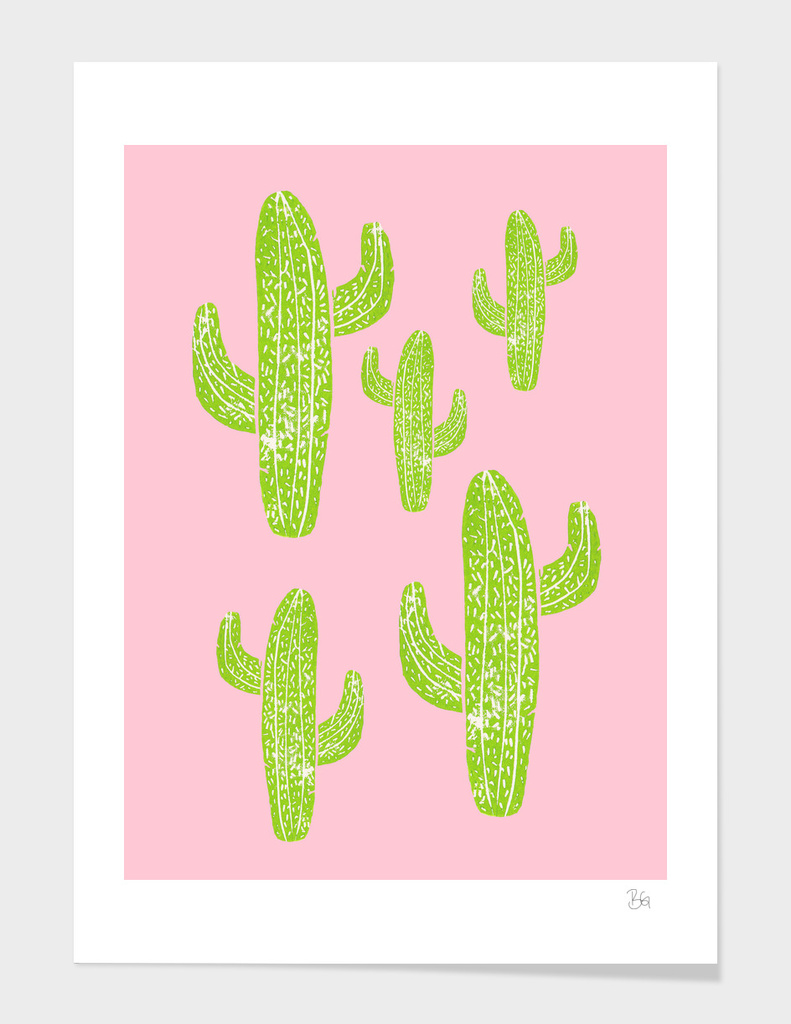 Cacti Minty Pinky