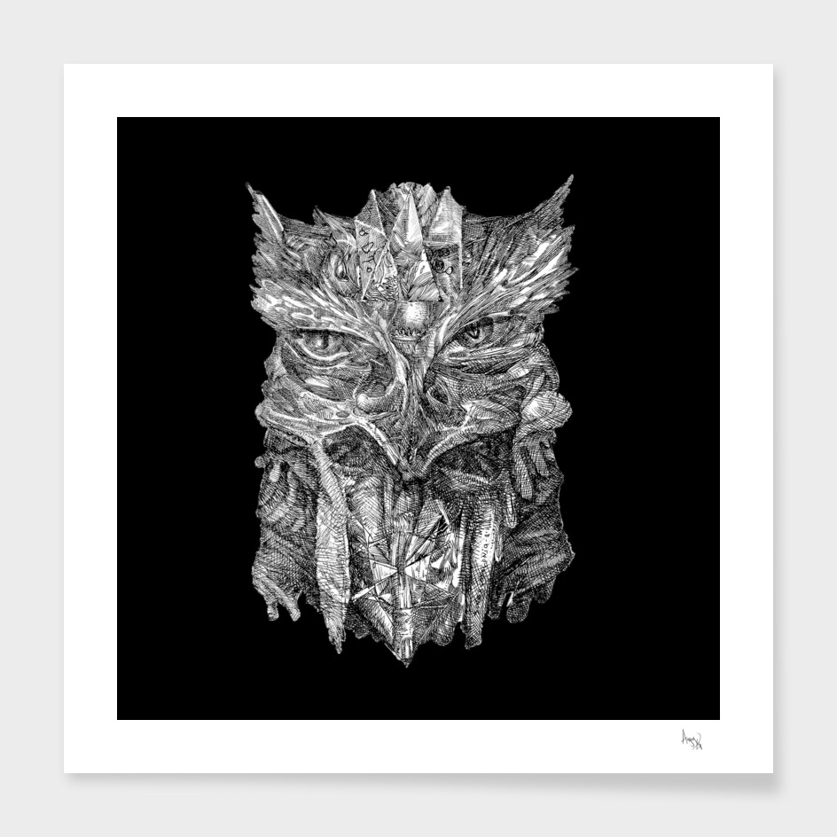 Owl from a Dream