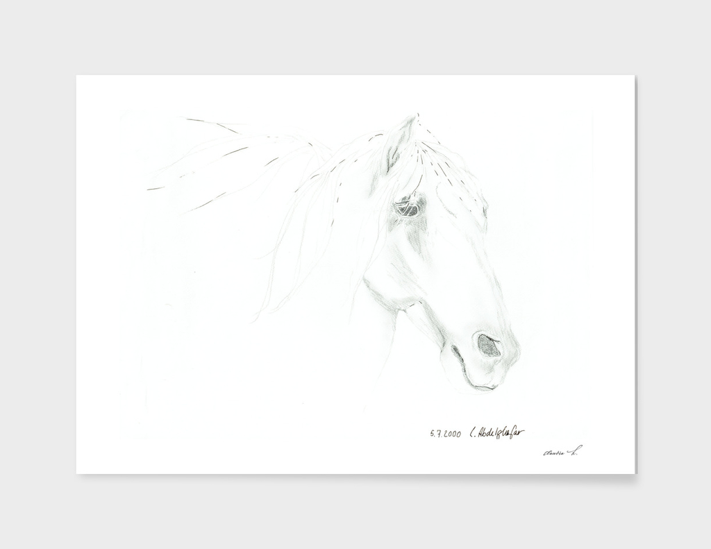 Another andalusian horse with pencil and ink