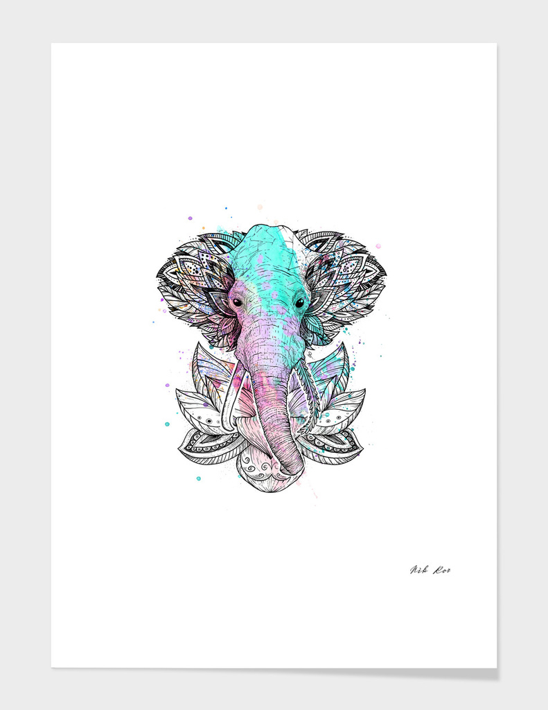 elephant in the lotus