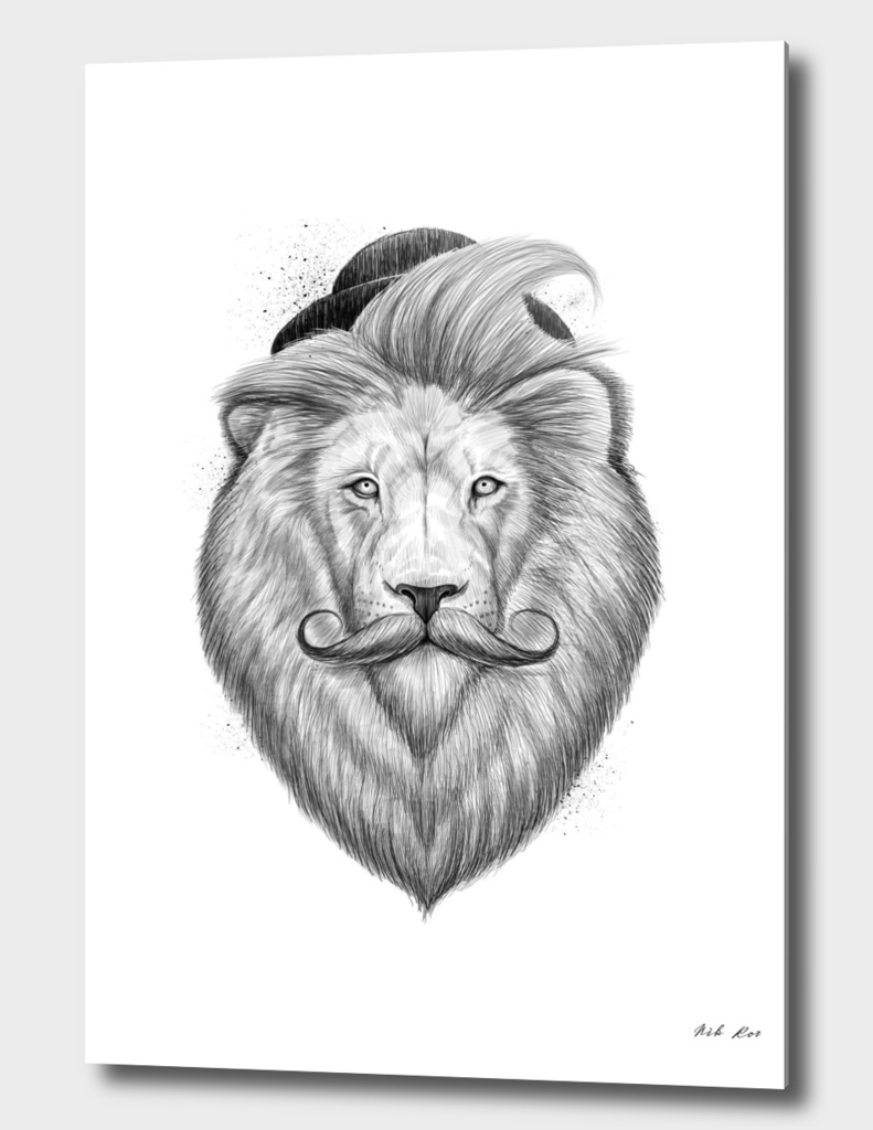 bearded lion