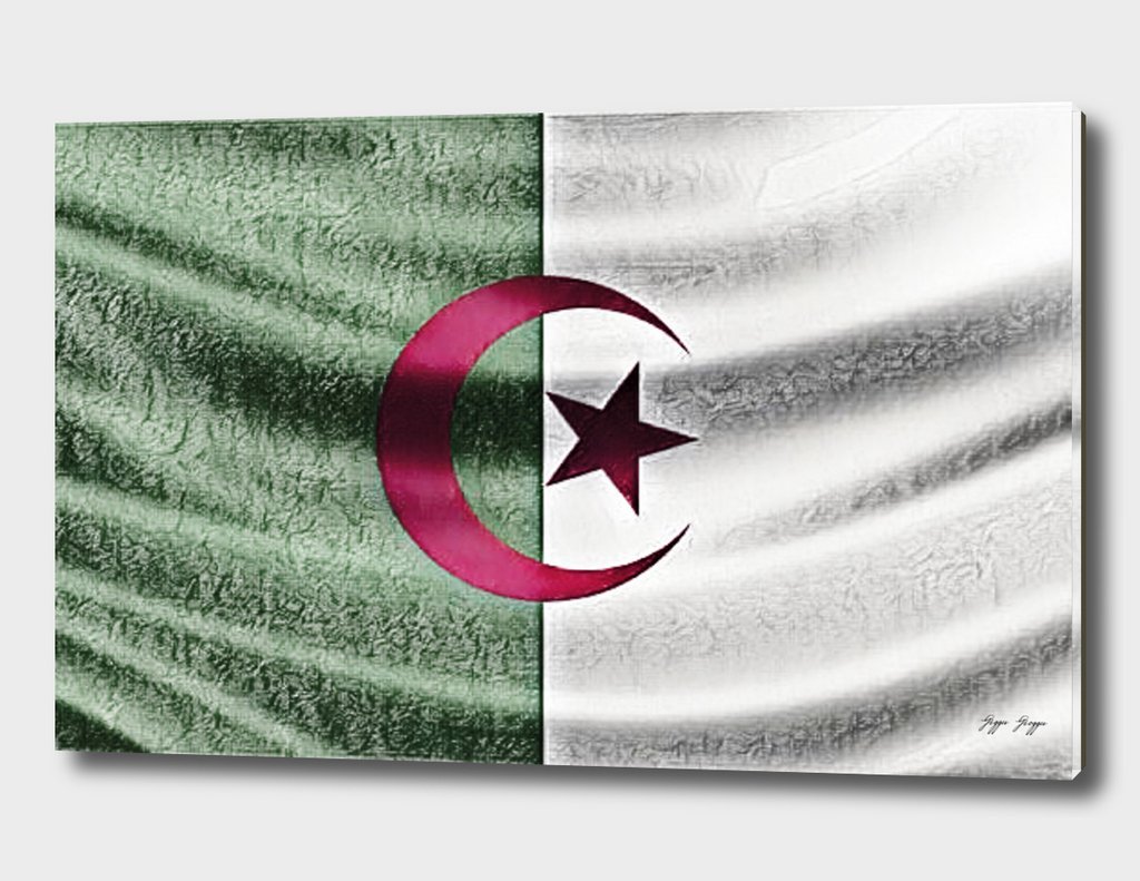 Algeria Flag Moon Star Fabric Chapped Scratchy Intere