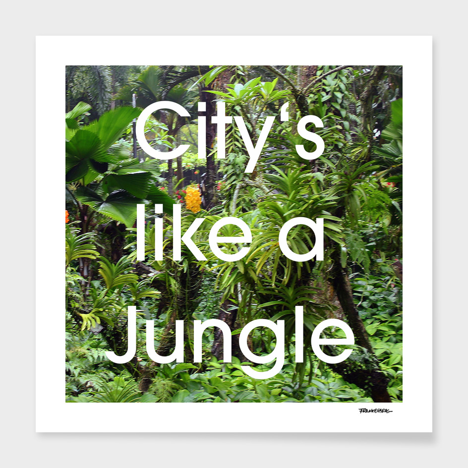 City's like a Jungle