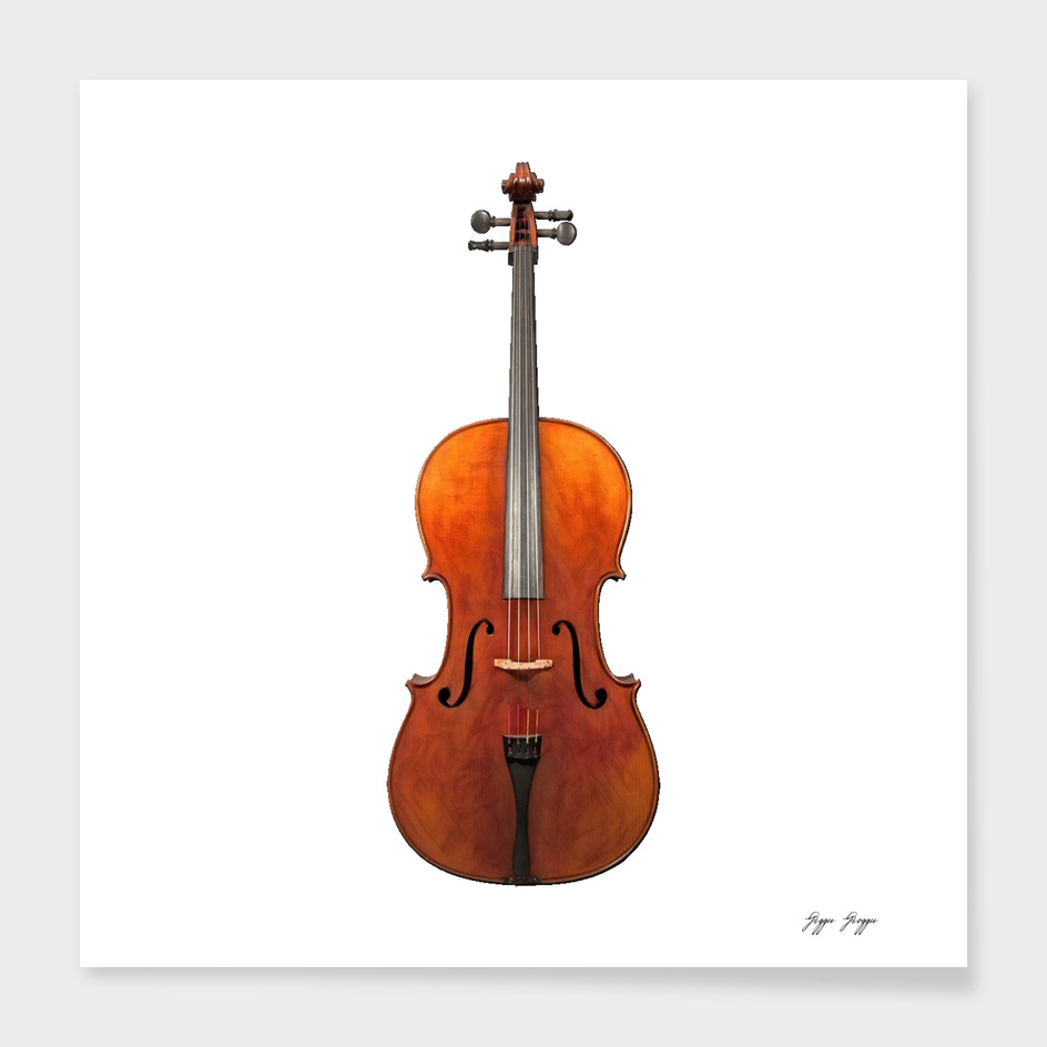 Cello Bowed String Octave Lower Box Resistant High