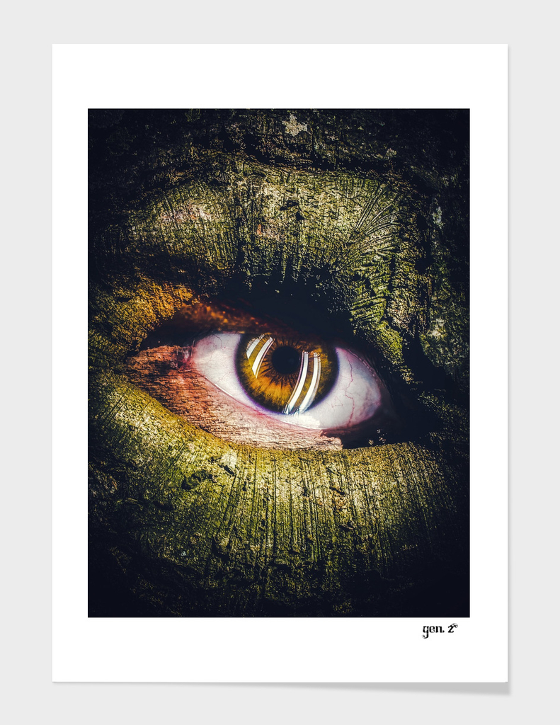 Eye of the tree