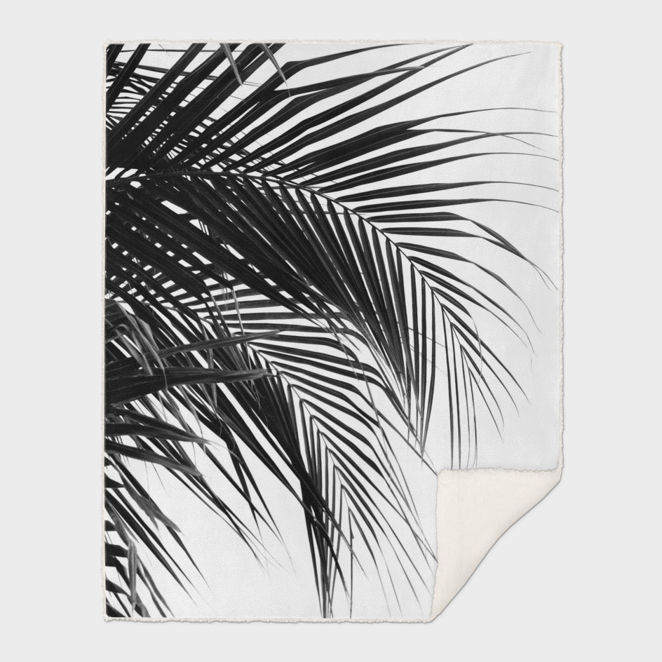 Tropical Black & White Palm Leaves #1 #tropical #wall