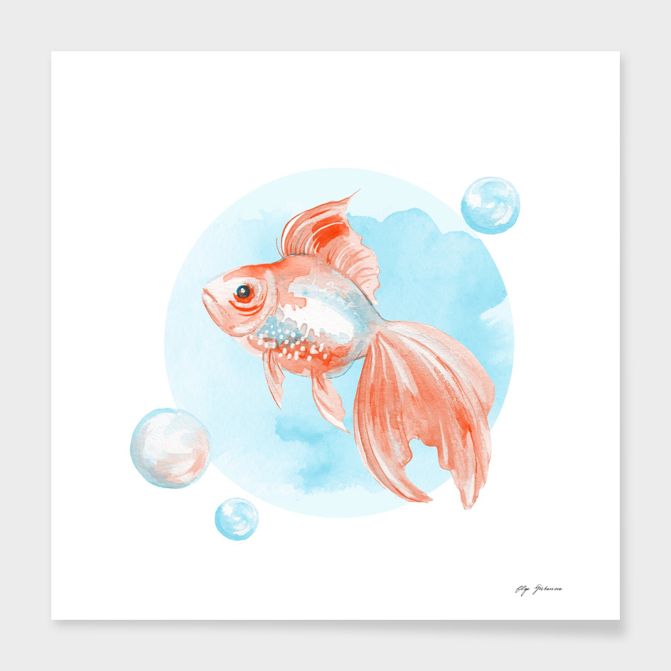 Fish and bubbles