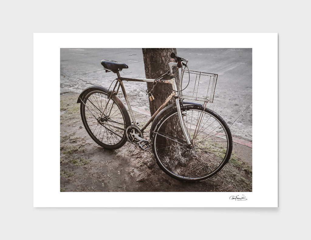 Old Bicycle Chained at Tree