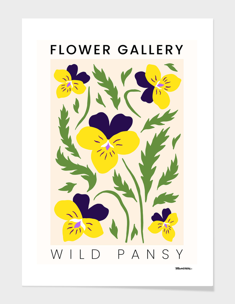 Wild Pansy - Happy Flowers