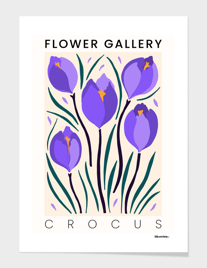 Crocus - Happy Flowers