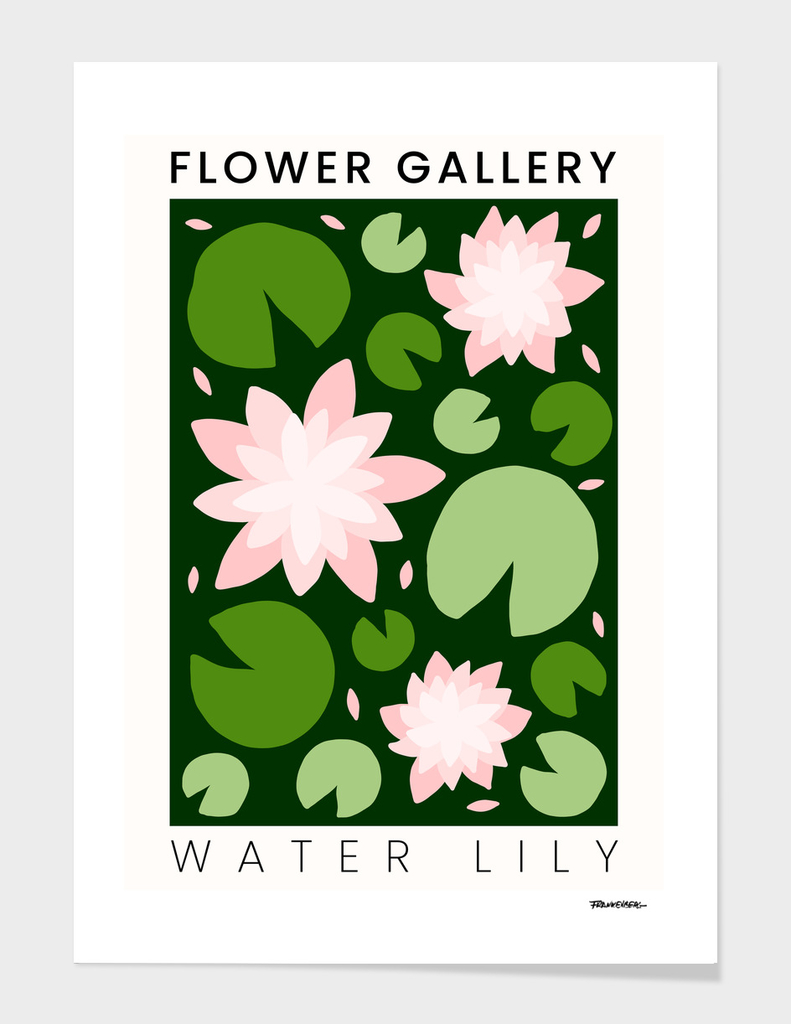 Water Lily - Happy Flowers