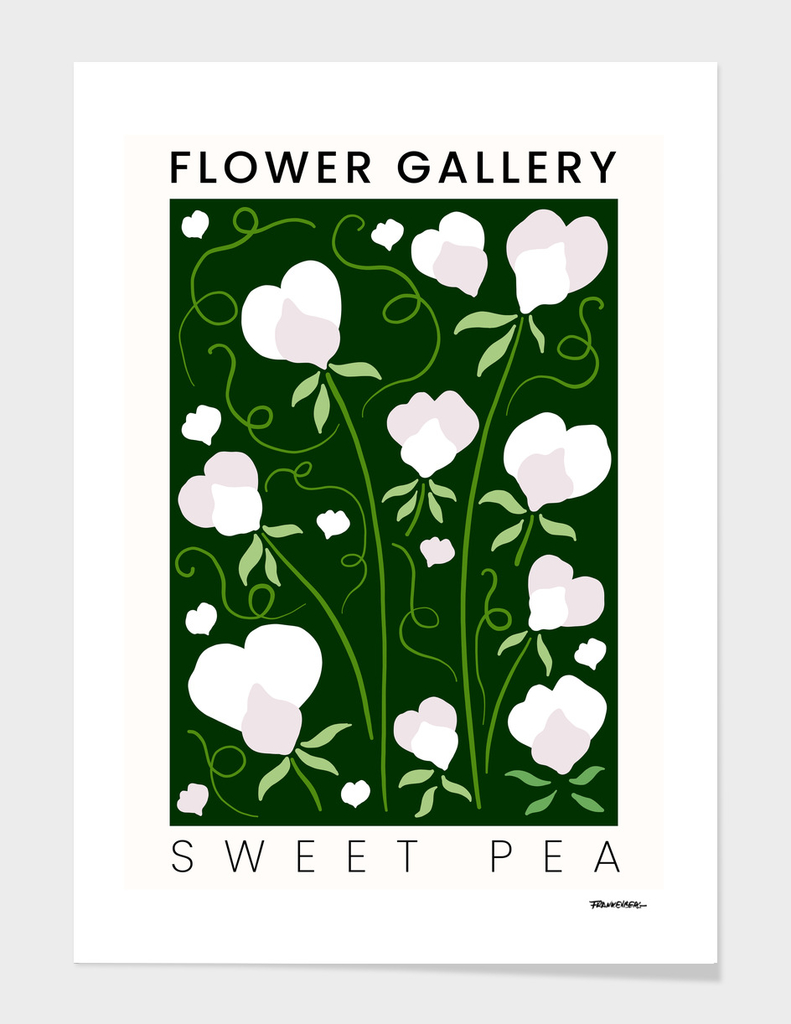 Sweet Pea - Happy Flowers