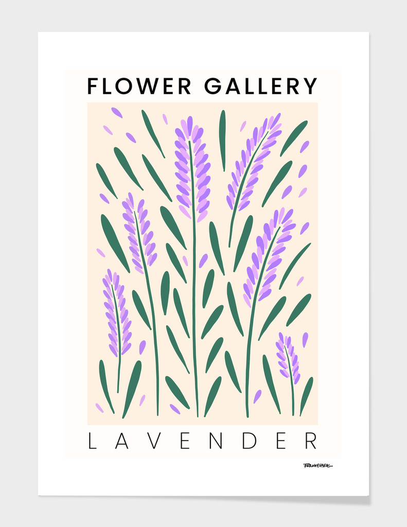 Lavender - Happy Flowers