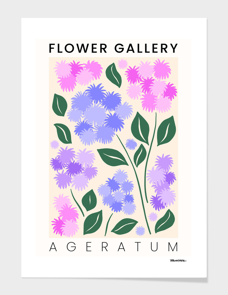 Ageratum - Happy Flowers